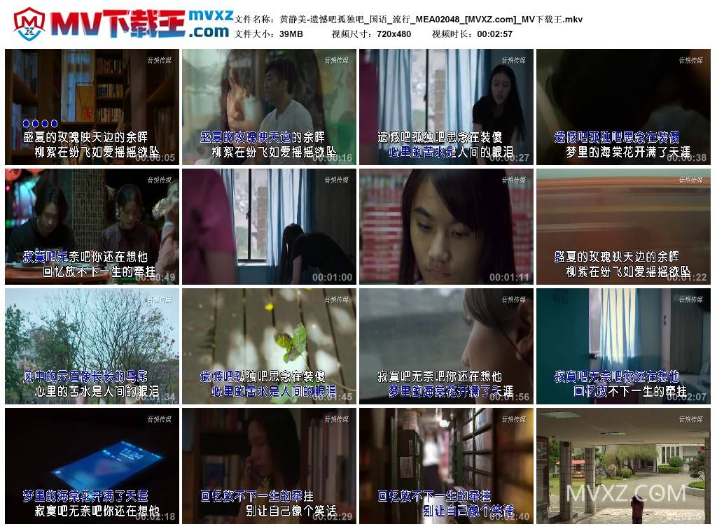 黄静美-遗憾吧孤独吧_国语_流行_MEA02048